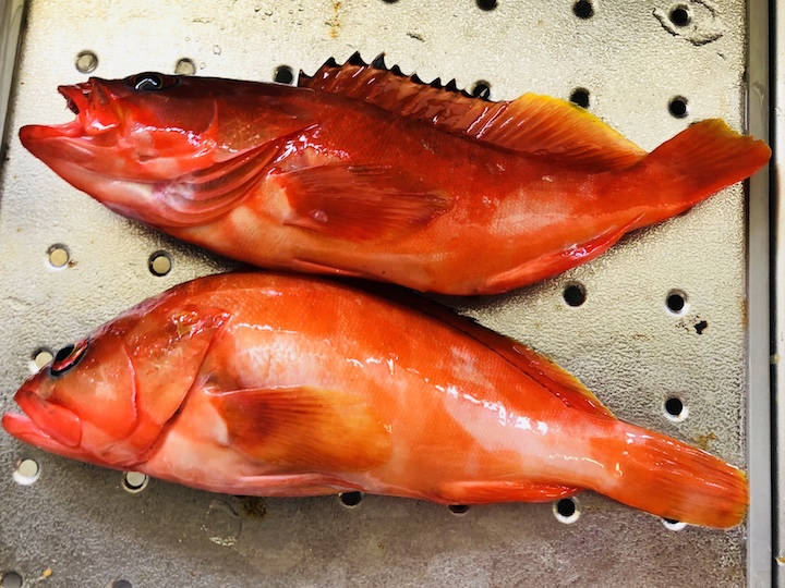 高級魚 塩だけで煮る 沖縄で学んだ簡単レシピ アカハタの マース煮 とはどんな料理 地球釣ってみた