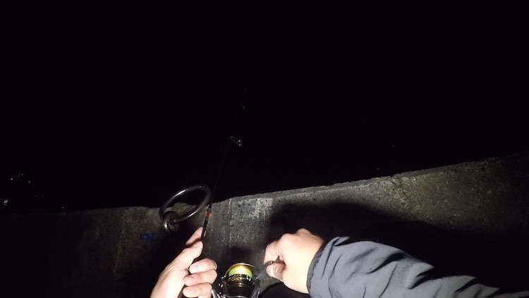 ゴープロ コスパ最強防水ライト Suptig が超おすすめ コレを使うべき3つの理由に迫る 地球釣ってみた