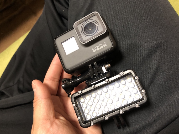 新登場 レア物 ♫Suptig 水中ライト ダイブライト LED 防水 カメラライト