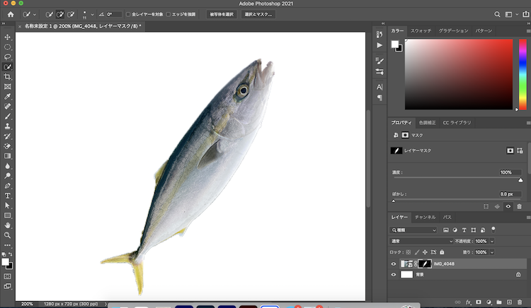自作 15分でデジタル魚拓は簡単に作れる 使用ツールと作成手順 ポイントを伝授します 地球釣ってみた