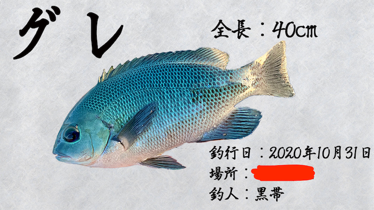 自作 15分でデジタル魚拓は簡単に作れる 使用ツールと作成手順 ポイントを伝授します 地球釣ってみた