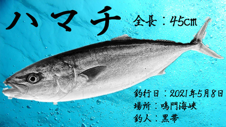 自作 15分でデジタル魚拓は簡単に作れる 使用ツールと作成手順 ポイントを伝授します 地球釣ってみた